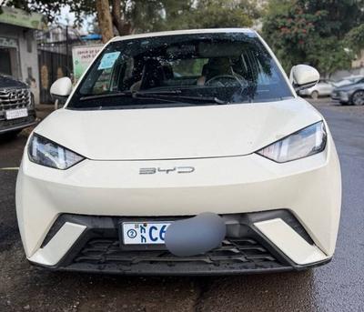 BYD 2023 Automatic