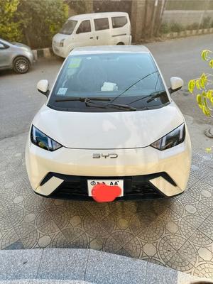 BYD Seagull 2024