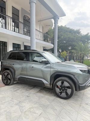 BYD 2025