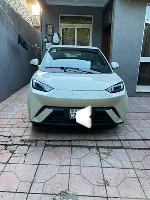 BYD 2025