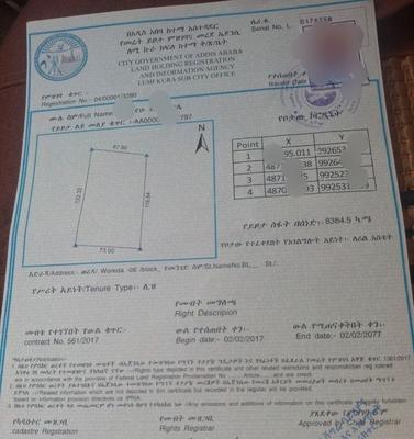 አያት አካባቢ ለሪልስቴት