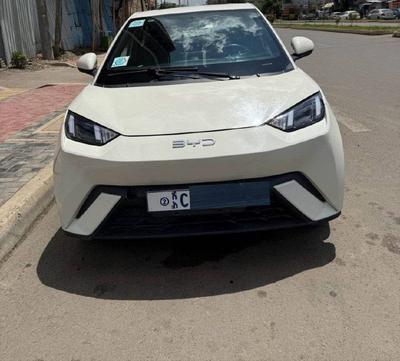 BYD Seagull 2024 Automatic