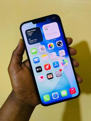 Apple iPhone 13 Pro Max 256 GB