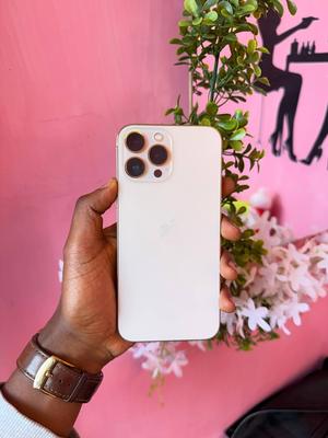 Apple iPhone 13 Pro Max 256 GB