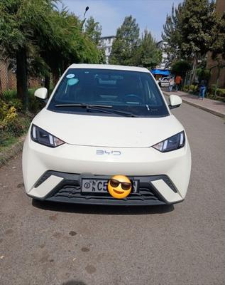 BYD Seagull 2024 Automatic