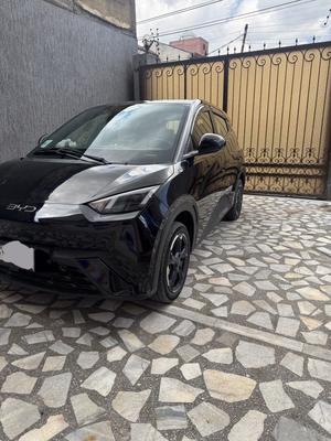 Make:BYD