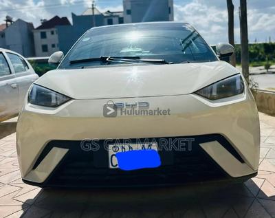 BYD Seagull 2025 Automatic