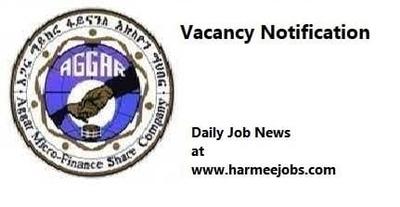 Vacancy at Aggar Micro Finance(For Fresh Graduate)