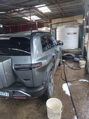 BYD 2025 Automatic