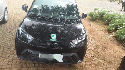 BYD Seagull 2024