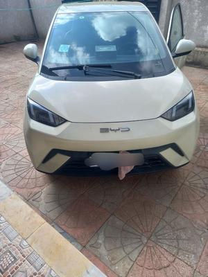 BYD Seagull 2024