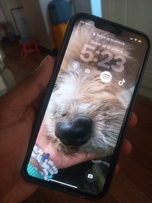 Apple iPhone 11 256 GB