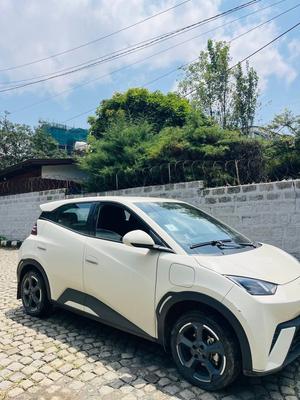 BYD Seagull 2024 Automatic