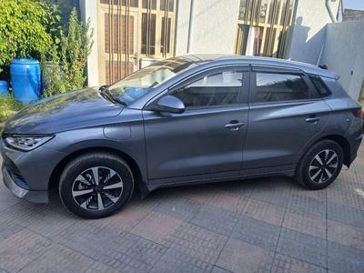 BYD 2025