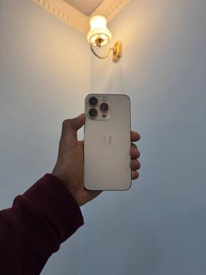 Apple iPhone 13 Pro