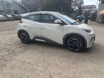 BYD Seagull Automatic