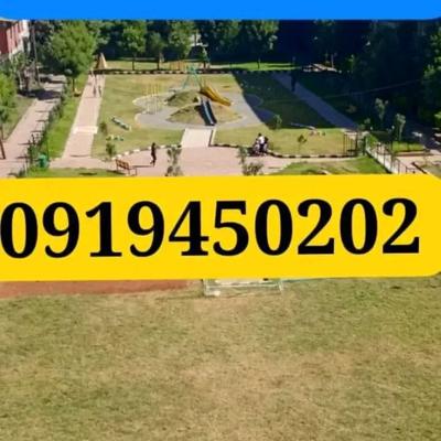 አስቸኳይ ሽያጭ መኖርያ ቤት ኮንዶምኒየም