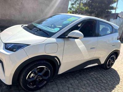 BYD Seagull 2024