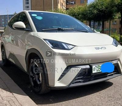 BYD Seagull 2024 Automatic