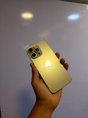 Apple iPhone 15 Pro Max 256 GB