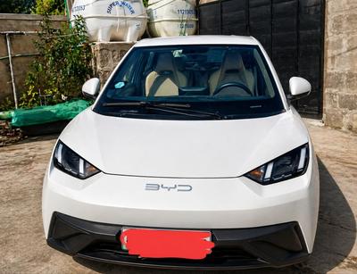BYD Seagull 2024