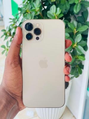 Apple iPhone 12 Pro Max