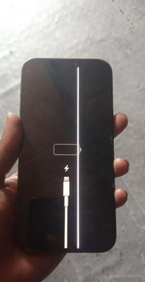 Apple iPhone 12 Pro Max 256 GB