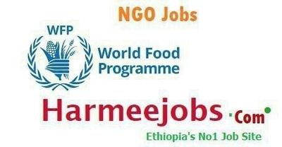 Vacancy at World Food Programme [NGO )