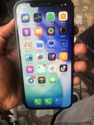 Apple iPhone 12 Pro Max