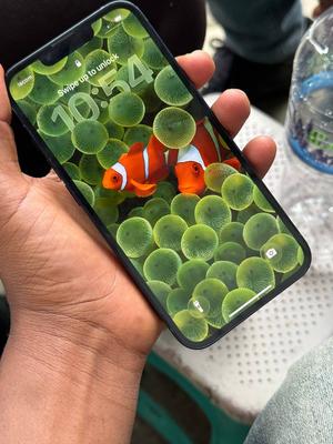 Apple iPhone 13 128 GB