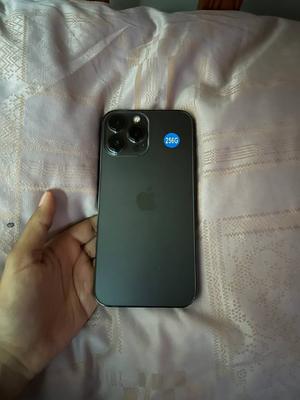 Apple iPhone 13 256 GB