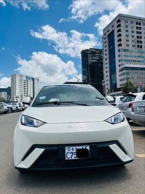 BYD Seagull 2025 Automatic