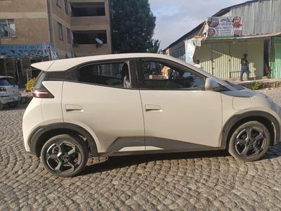 BYD Seagull 2024 Automatic
