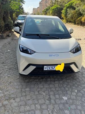 BYD Seagull 2024 Automatic