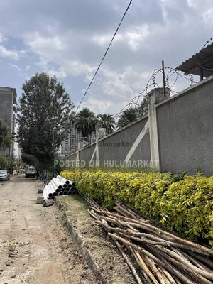 Land for sale in Bole
