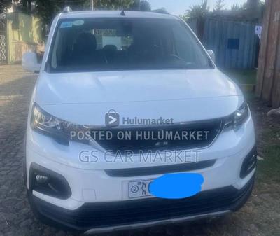 Peugeot 2019 Manual