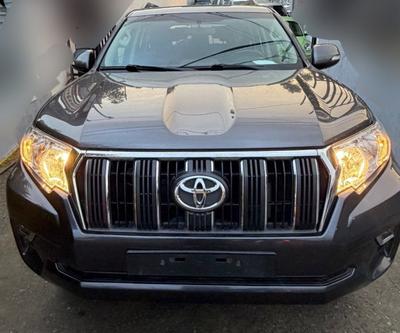 Toyota Land Cruiser Prado 2020 Manual