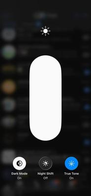 Apple iPhone 11 Pro Max 256 GB