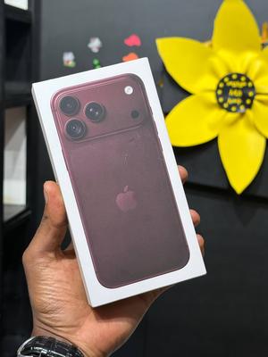 Apple 256 GB