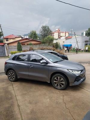 BYD 2025 Automatic