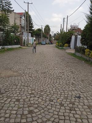 #አስቸኳይ የሚከራይ ቤት