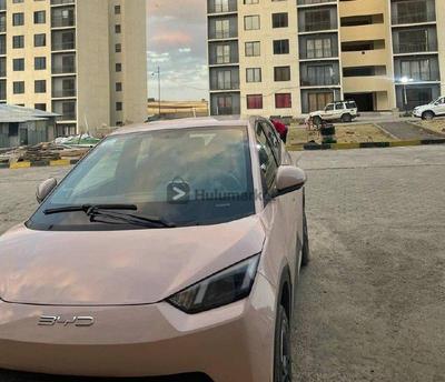 BYD Seagull 2024