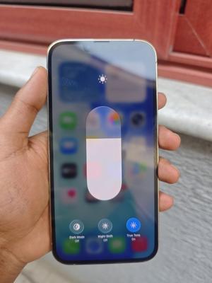 Apple iPhone 13 Pro Max 256 GB