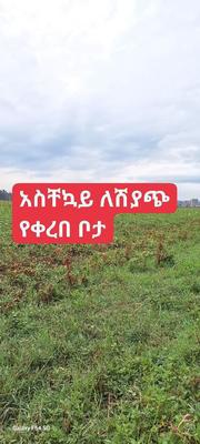 ለሽያጭ የቀረበ ቦታ